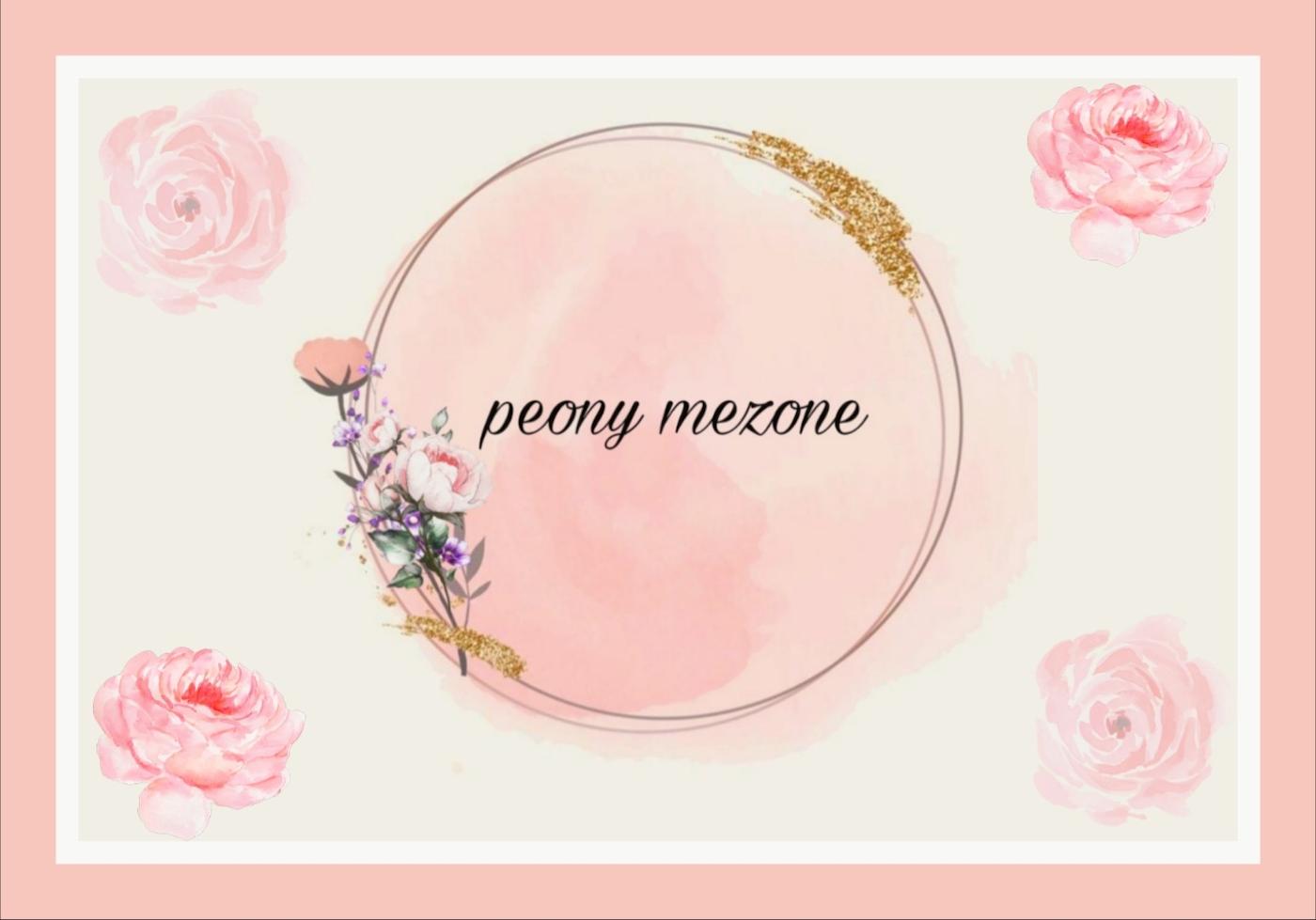 slide-image-undefined